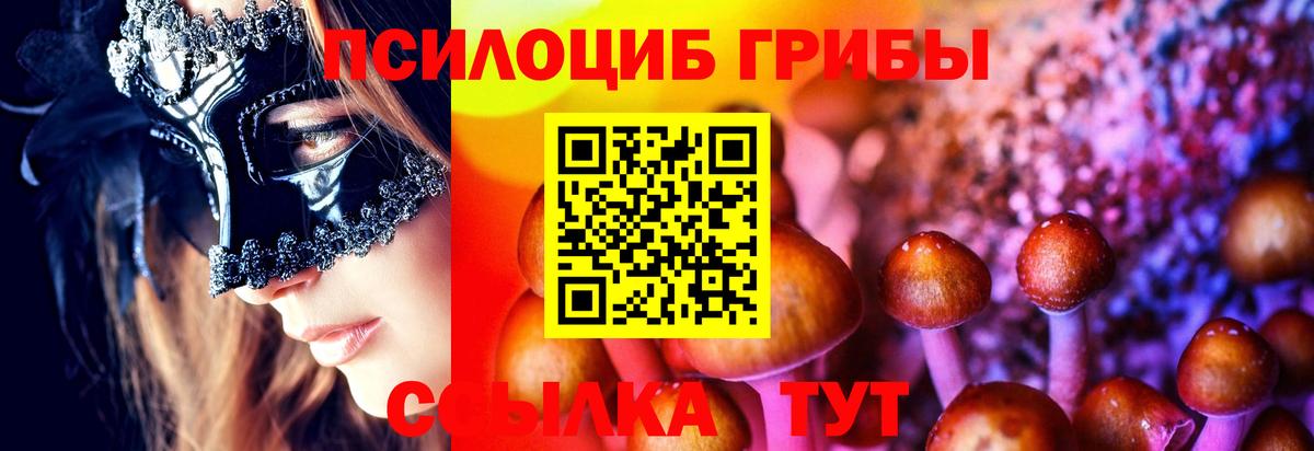 Псилоцибиновые грибы Psilocybine cubensis  Вход с VPN  Кстово 