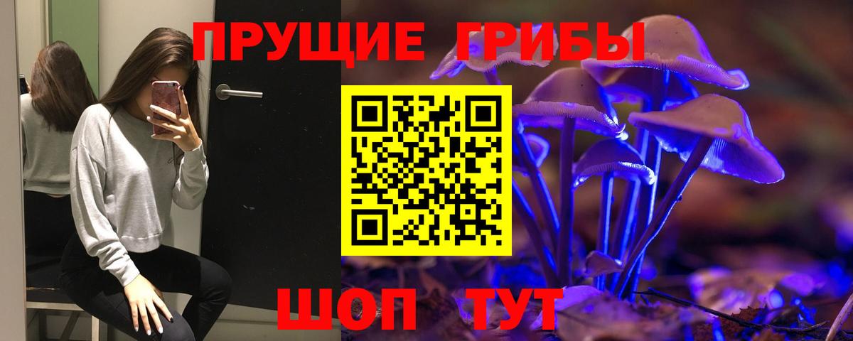 Псилоцибиновые грибы мицелий Кстово